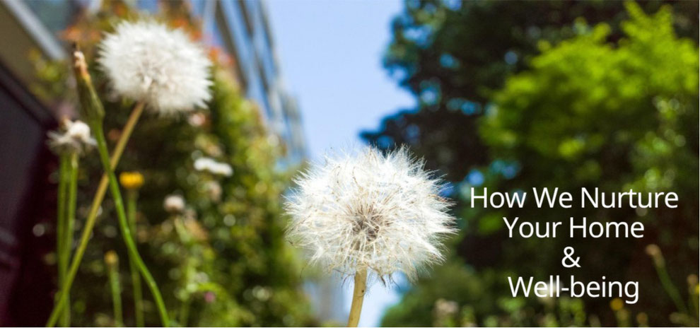 Professional Organizer  in Tokyo-our services