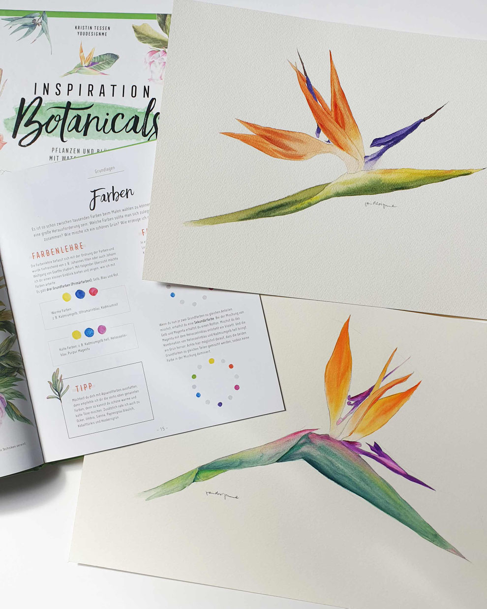 Stelitzien, Aquarell, botanical watercolor workshop, Malkurs, Malen lernen, botanisches Aquarell, Blumen malen, wie malt man Blumen, Farben mischen, Farbkreis, Farbtheorie, Blumenaquarell, tropische Blumen malen, Bird of paradise flower, online malkurs