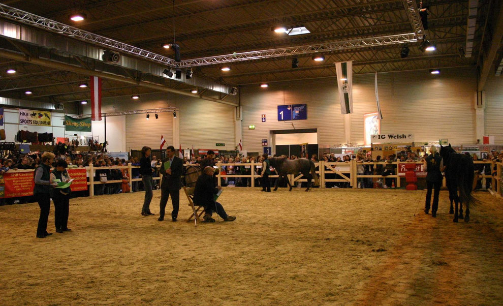 Die Richter bei der Arbeit im Ring vor den Augen des interessierten Publikums in der überfüllten Halle 2