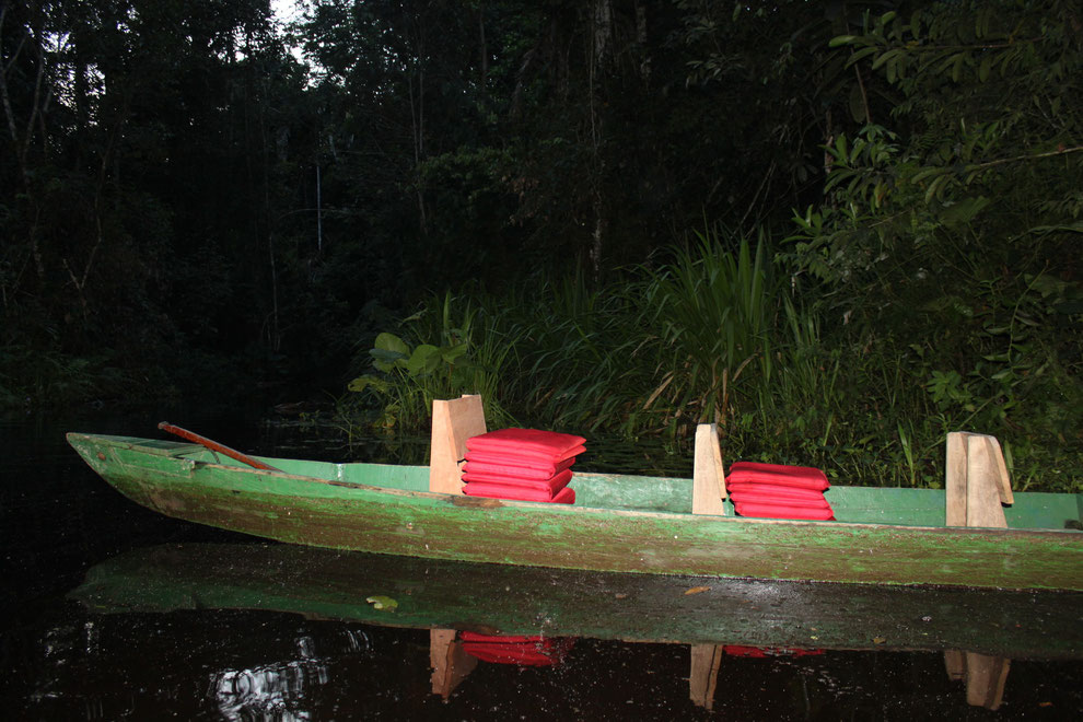 Dschungeltouren, Regenwaldtouren, Amazonastouren in Ecuador mit ECUADORline