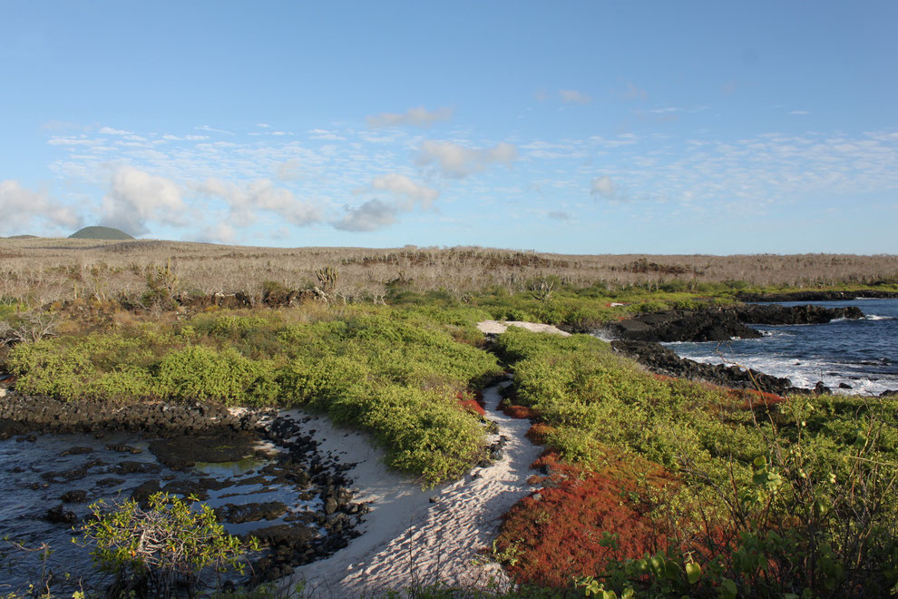 Island Hopping - Inselhüpfen - Insel Hopping auf den Galápagos Inseln ist eine gängige Alternative zur Kreuzfahrt geworden