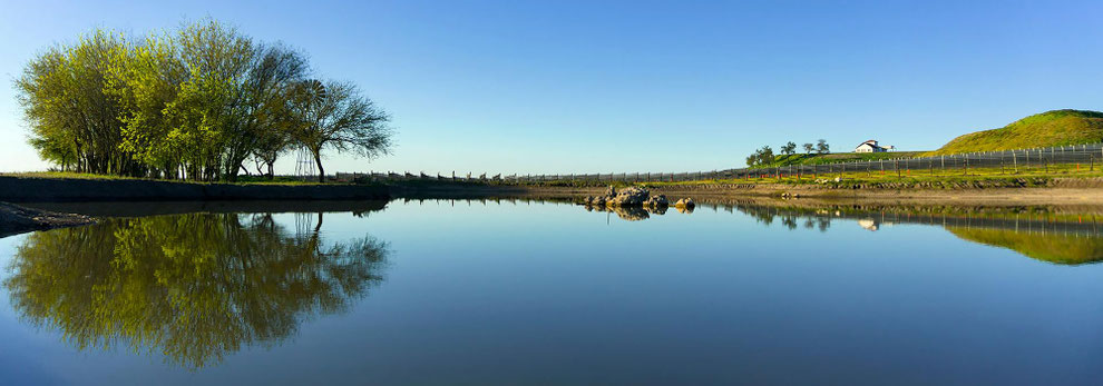 Vigna LU.PA. - Lago di Trevignano