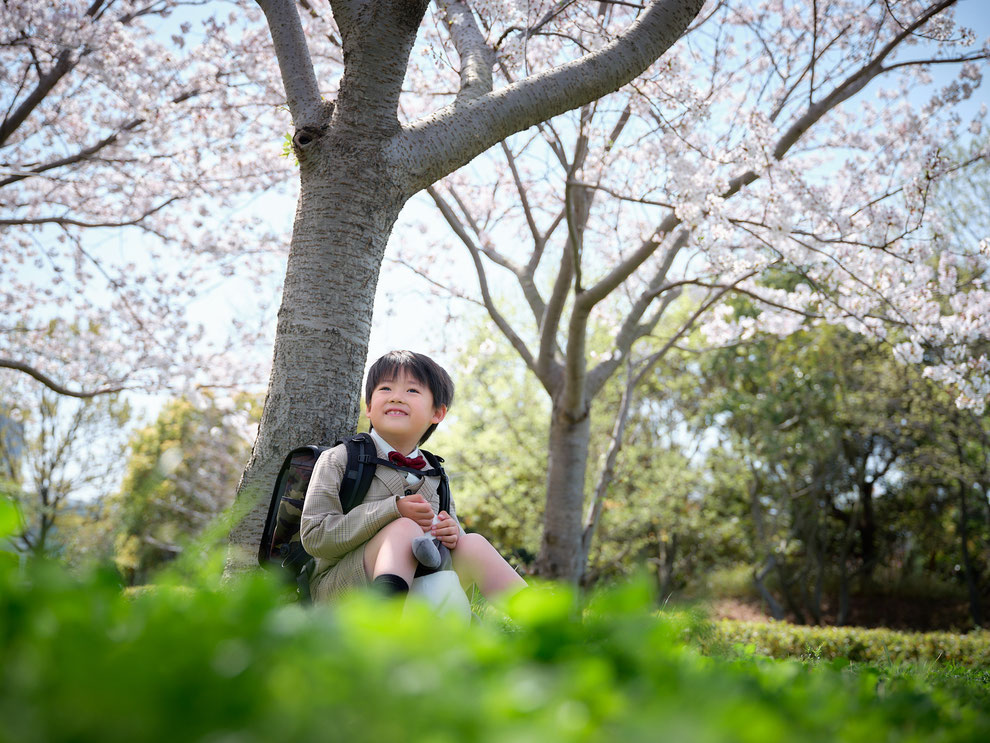 桜と入学記念写真