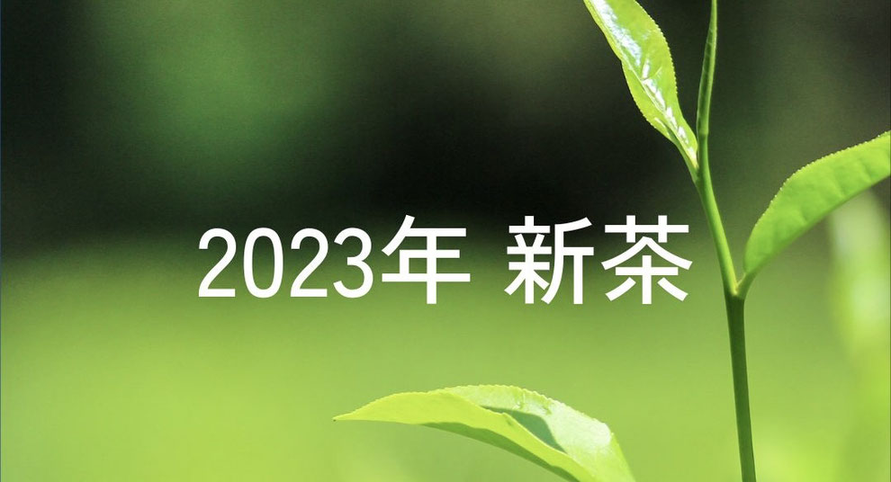 【SPECIAL FEATURE 4月：「2023年新茶」】新茶の予約販売を開始　人気の新茶3種と、今夏発売予定の『ORGANIC KAGYA BLEND GREEN』が入ったスペシャルセットがおすすめ
