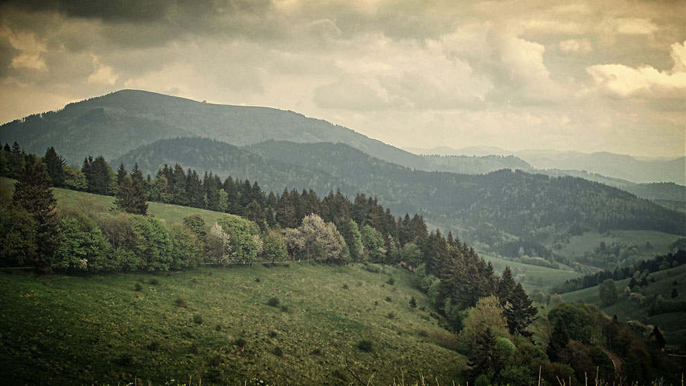 Blick auf den Belchen vom Parkplatz am Kreuzweg bei Haldenhof