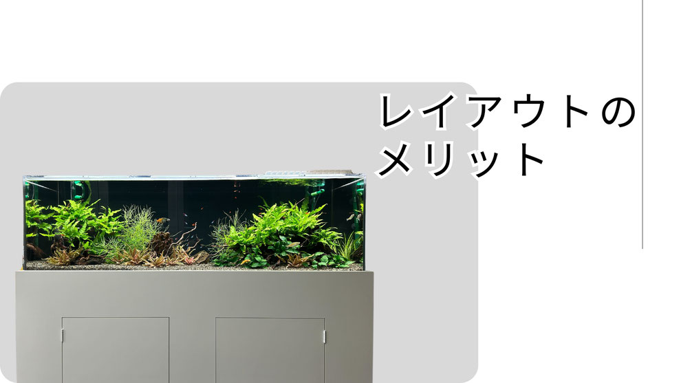 アクアリウムにおけるレイアウトのメリット