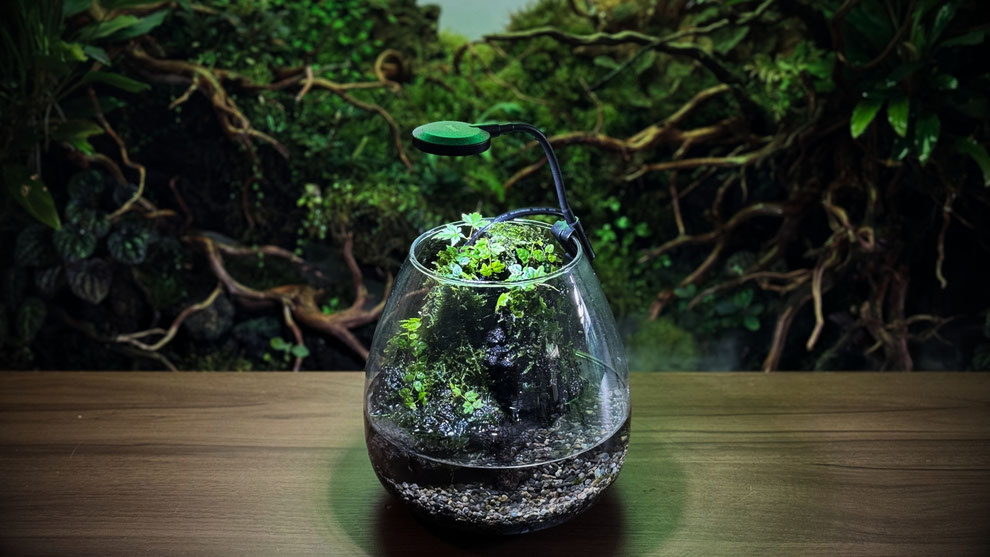 アクアリウムにおける溶岩石の使い方を説明