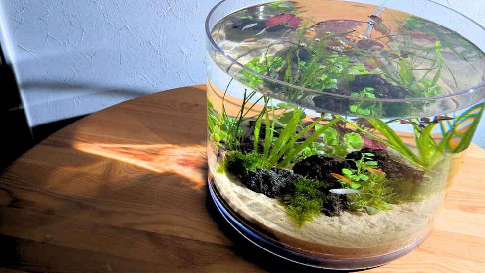 水槽 mellow1003 水槽 mellow1003 アクアミックス 400 PFセット | 水中生物用品・水槽