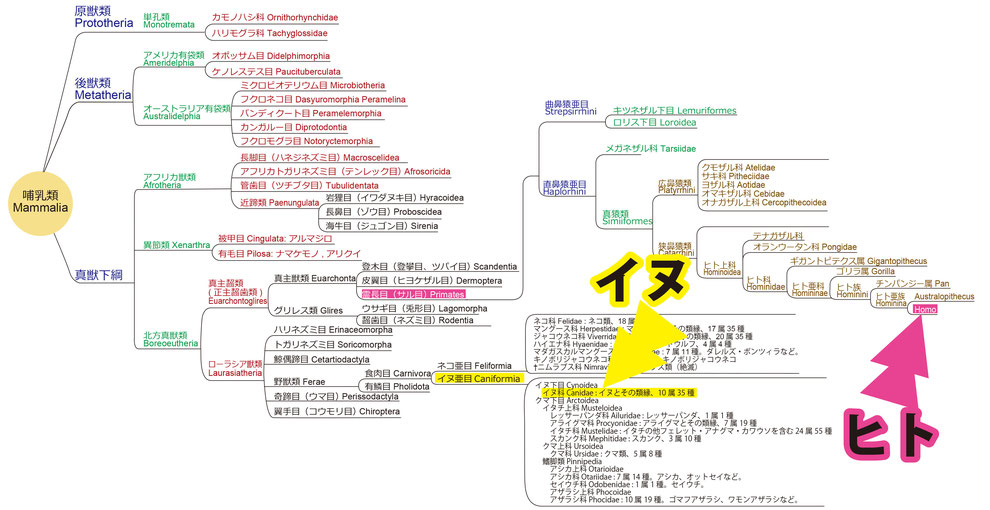 犬と人間　犬と人が共存することとは