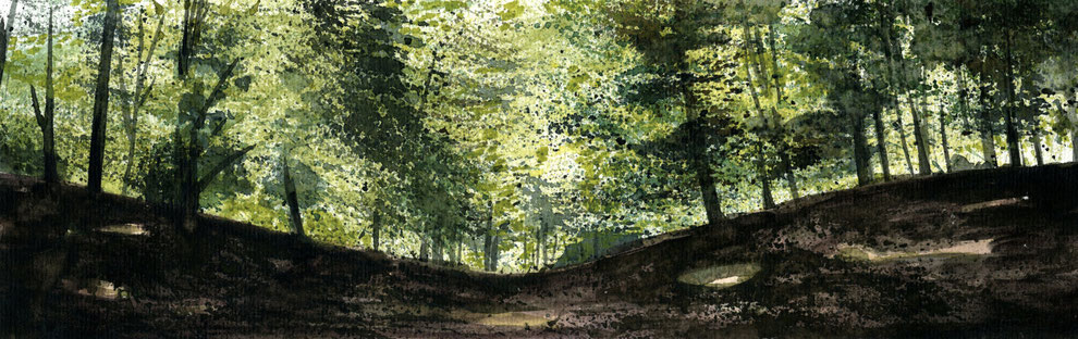 Bosque atlántico, Bezins (Francia). Atalaya Territorio, empresa de consultoría.