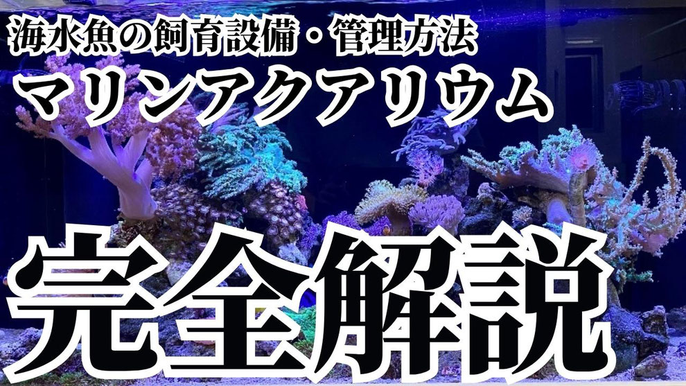 海水水槽 一式