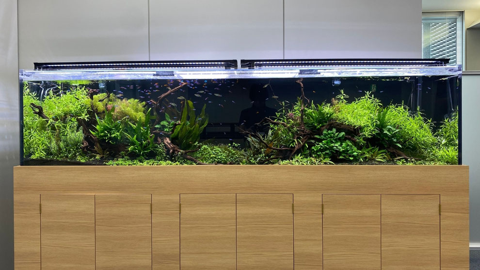 円柱型オリジナル水槽 【公式通販】