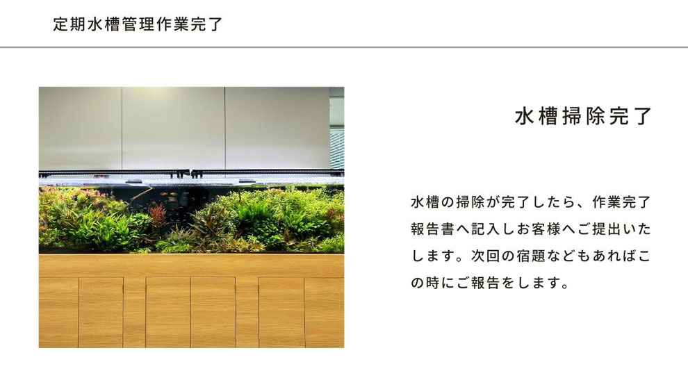東京都大田区の個人宅水槽を掃除&定期メンテナンス｜アクア総合企画MUKASA