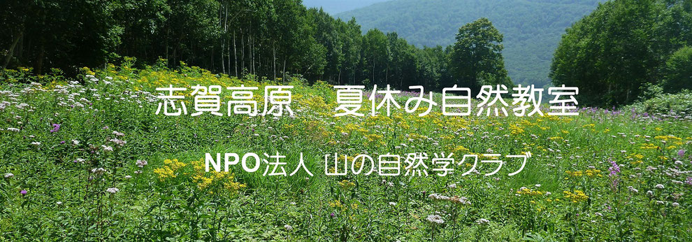 東館山高山植物園コース Shiga Shizen ページ 東館山高山植物園コース Shiga Shizen ページ