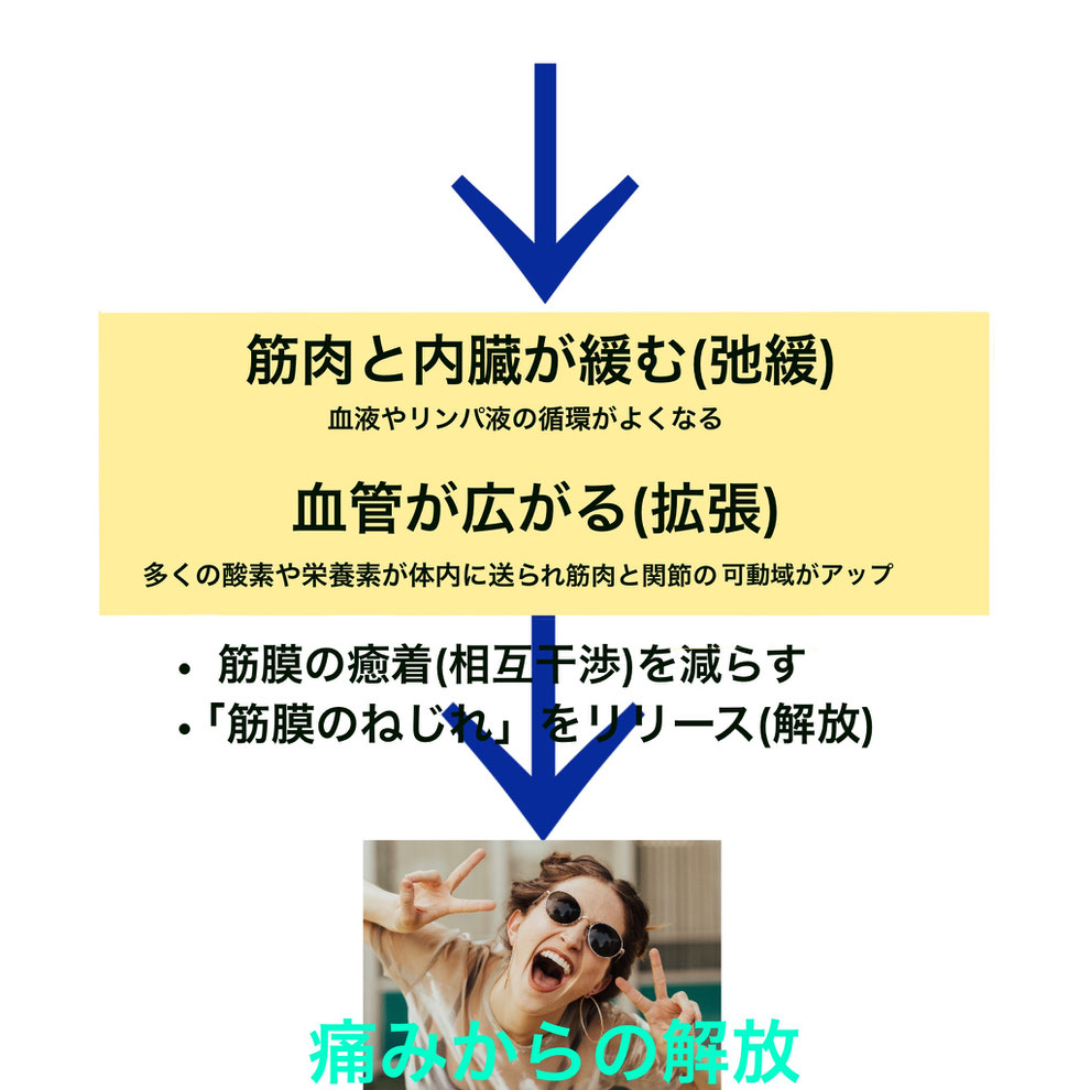 メディセルの説明