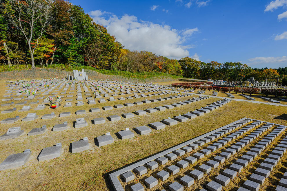 金剛宝寺　個別安置型樹木葬