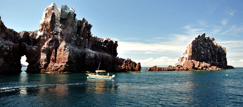 Tours Espíritu Santo Island La Paz