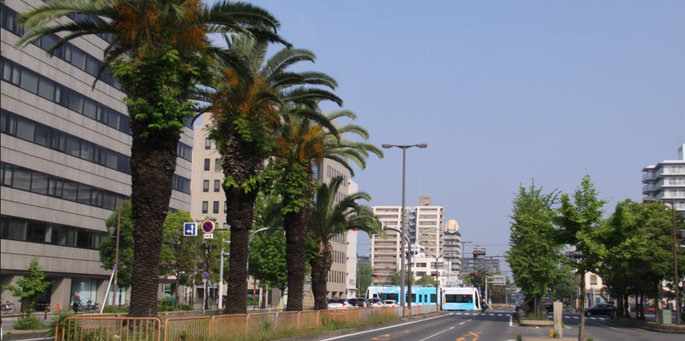 RACDA大阪・堺　　フェニックス通りと電車