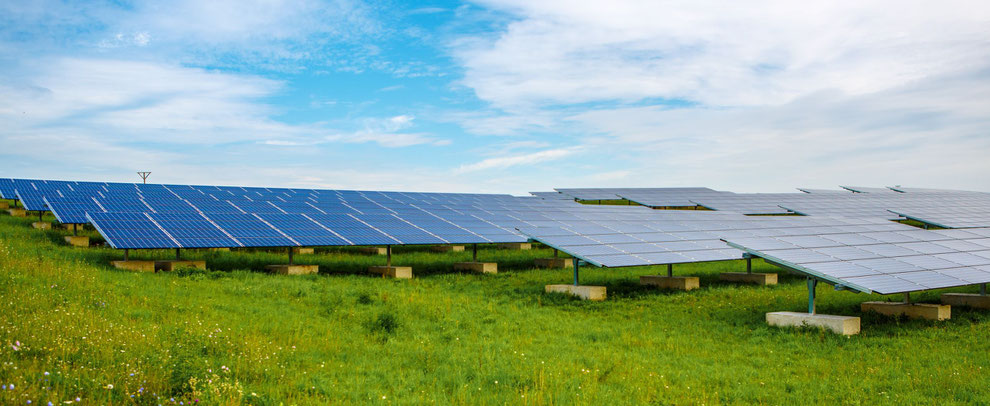 Solarpark der evd: Das Stromnetz muss in der Lage sein, solche Anlagen zu integrieren.