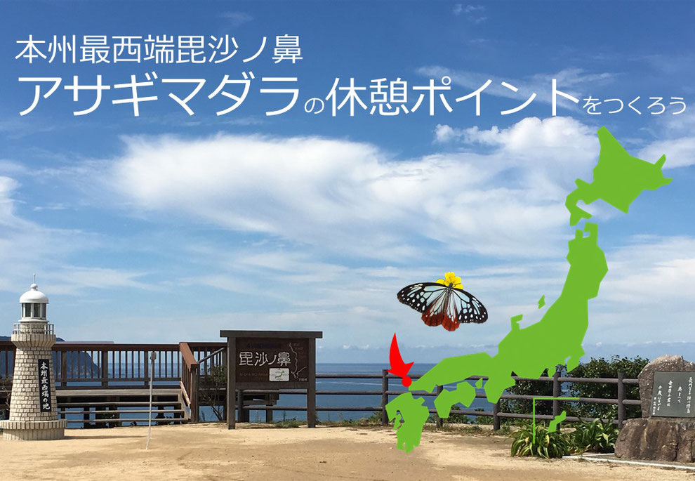 本州最西端の地、毘沙ノ鼻にアサギマダラの休憩ポイントをつくりました