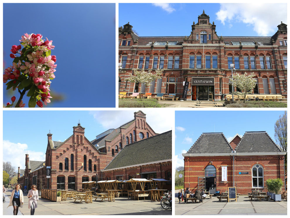 Die schönen Backsteingebäude der Westergasfabriek