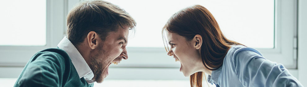 Argumente gegen Rechts ; Argumentationstraining gegen Rassismus, gegen rechts argumentieren lernen