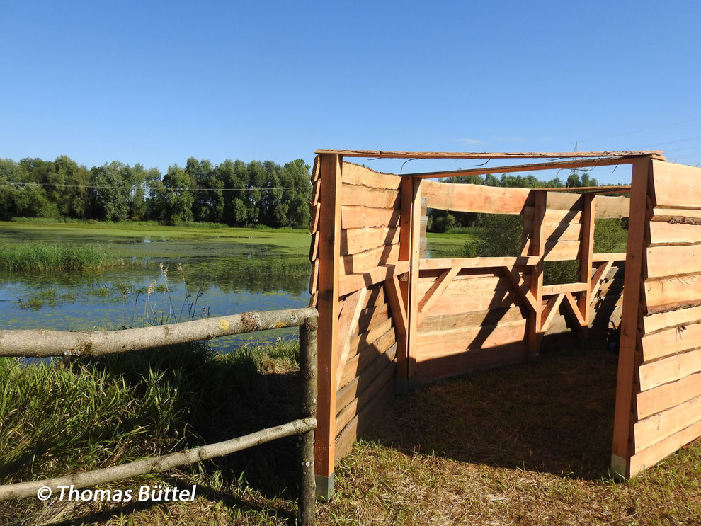 new hide at the Abtissensee