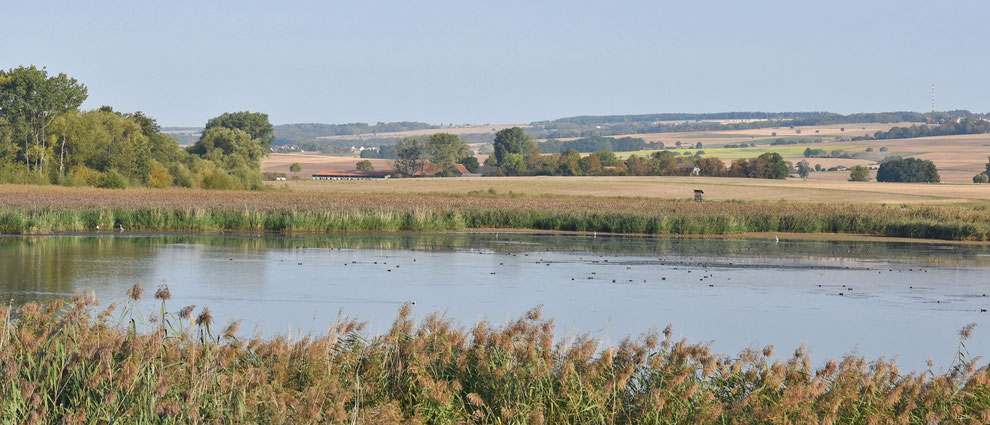 Blick auf den Biotopsee