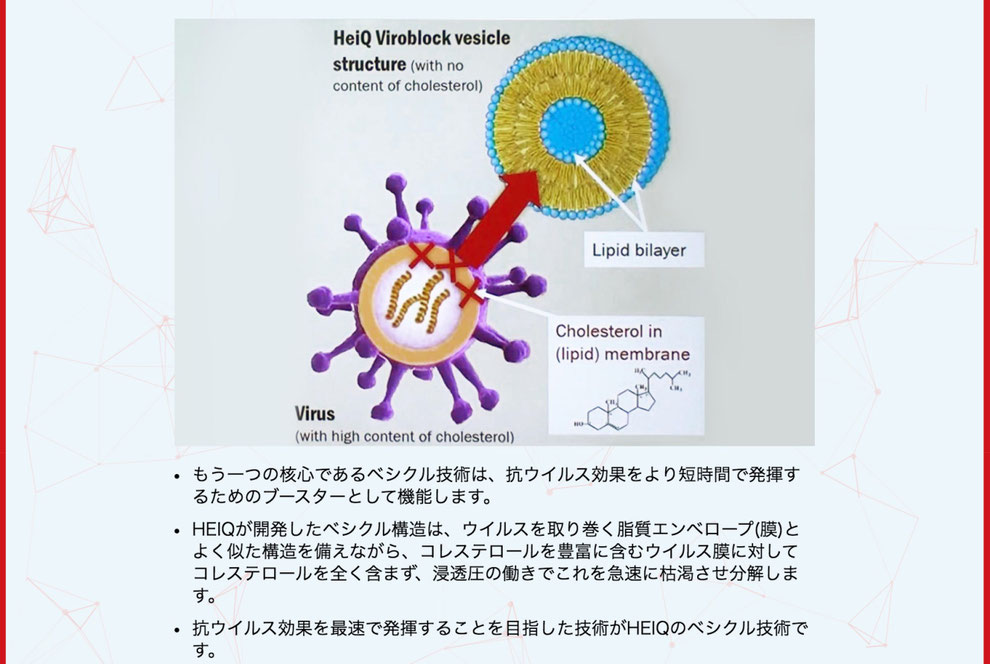 ハイキュ ヴィロブロック　ウィルス撃滅のメカニズムと実証結果