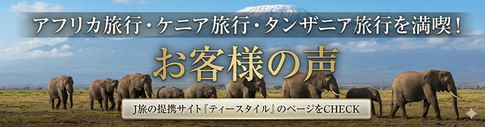 アフリカ旅行　ケニア旅行　タンザニア旅行　お客様の声