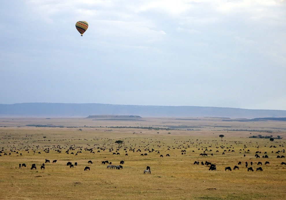 ケニアのバルーンサファリ
