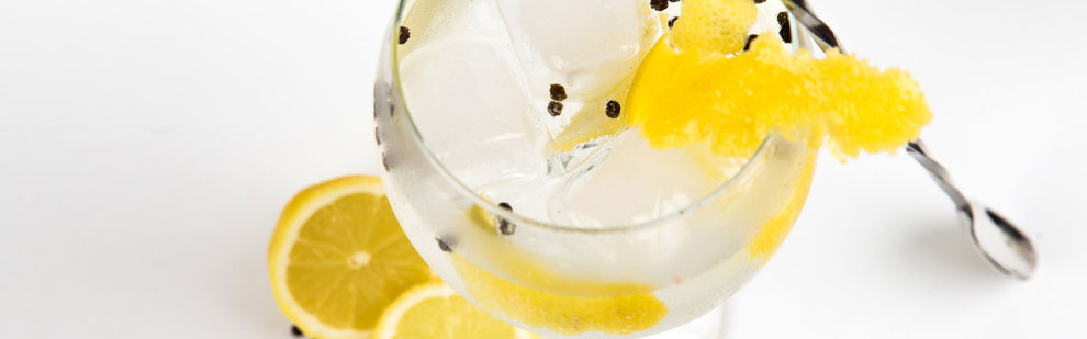 KochSuite Freiburg Kochkurs Gin&Tonic