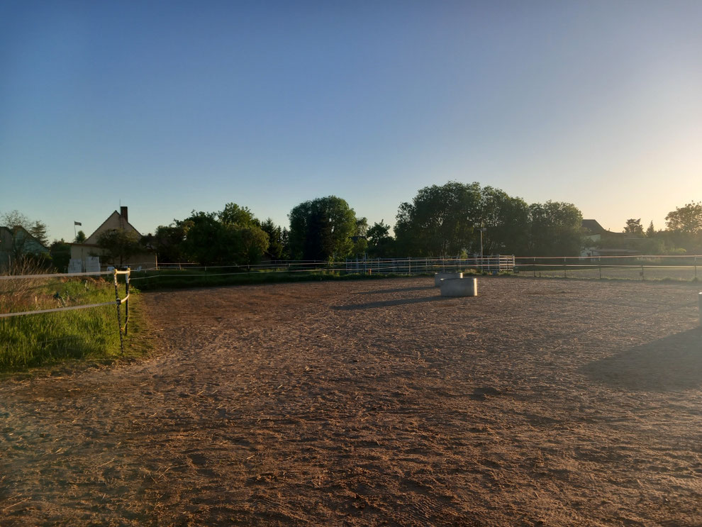 2. Paddock, im Hintergrund Bewegungsplatz & RoundPen