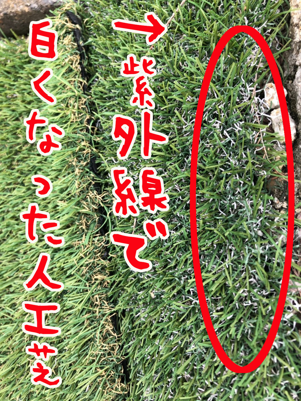 ウッドデッキ　樹脂デッキ　タイルデッキ　テラス　スタンプコンクリート　デザインコンクリート　樹ら楽　ココマ　人工芝　樹脂　芝