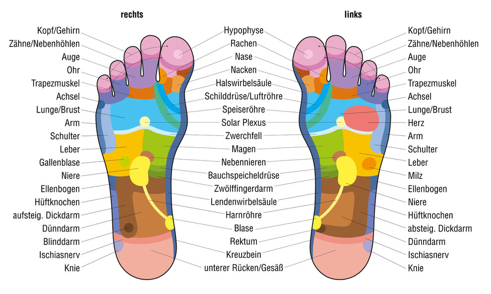 Fussreflexzonenmassage: Die Fussreflexzonen an den Füssen mit den jeweiligen Wirkungen im Körper