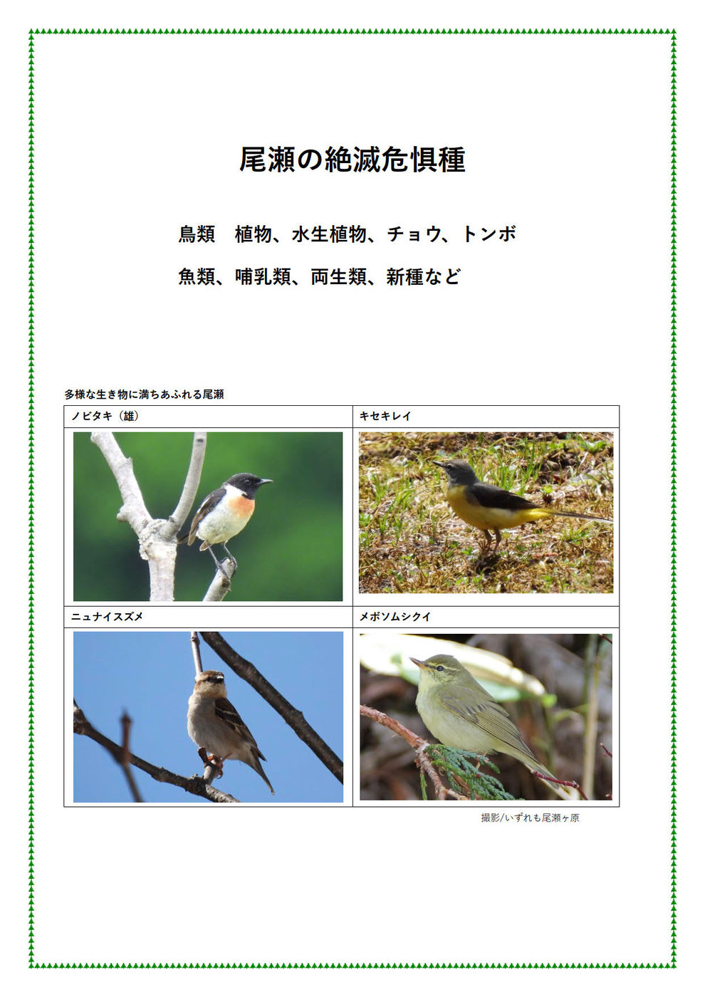 2025.01.03 尾瀬-環境省絶滅危惧第4次尾瀬学術調査 - 尾瀬自然 2025.01.03 尾瀬-環境省絶滅危惧第4次尾瀬学術調査 - 尾瀬自然