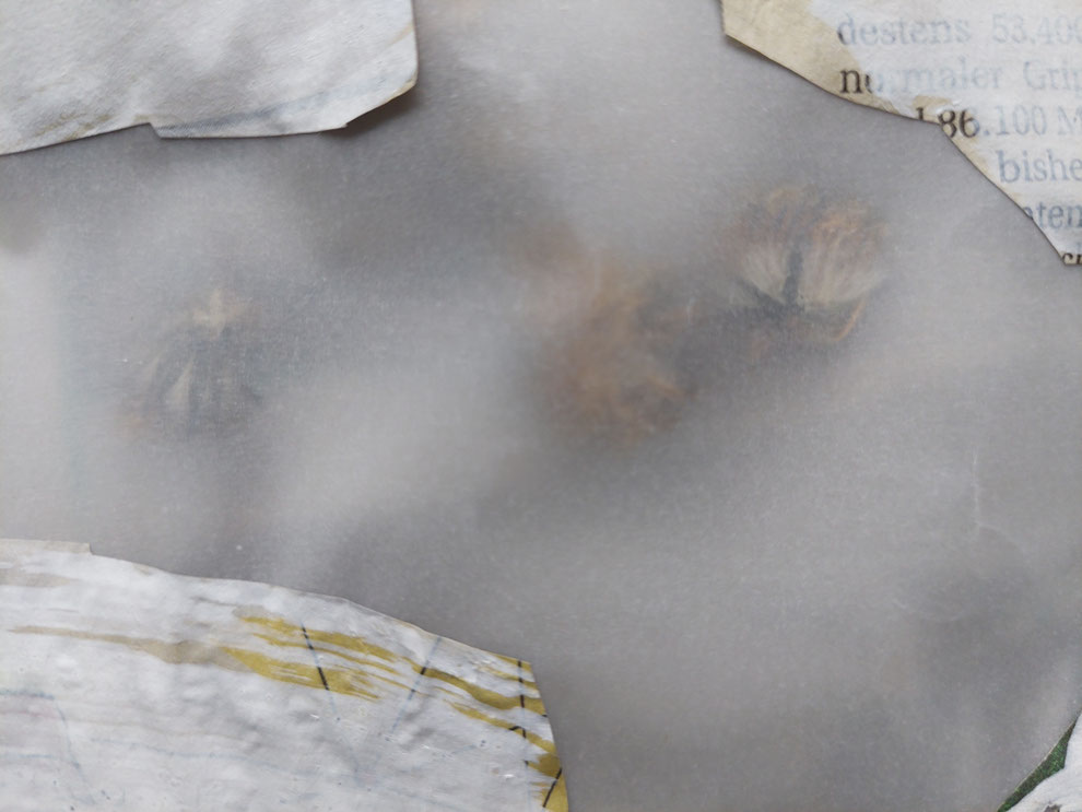 Blüten und Pflanzeteile aus dem Garten wurden "locked" hinter Papier und übermalten Zeitungsausschnitten (über Corona)