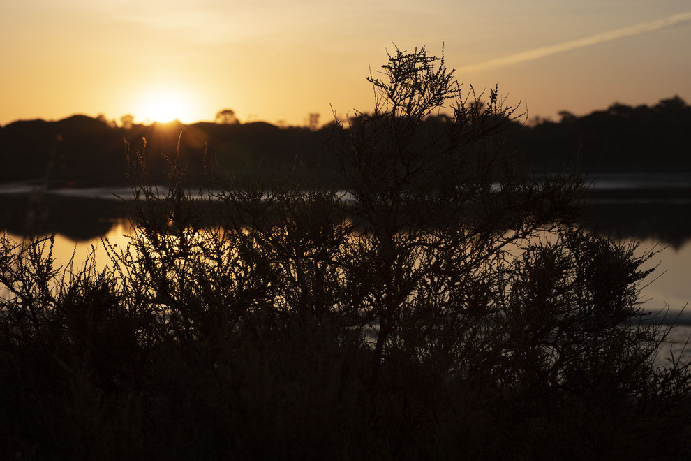 Sun rises at a laguna in Troia resort, 2021
