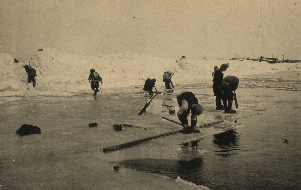 豊平川での氷の切り出し風景＝1918年頃撮影（北大付属図書館所蔵）