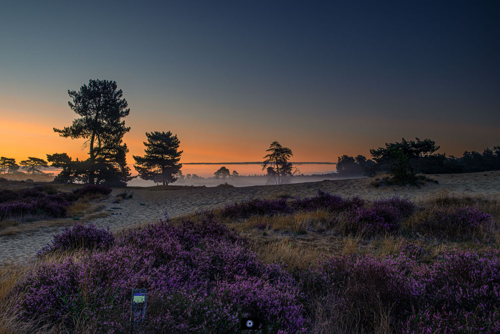Loonse & Drunense Duinen | Kaatsheuvel | 08-25