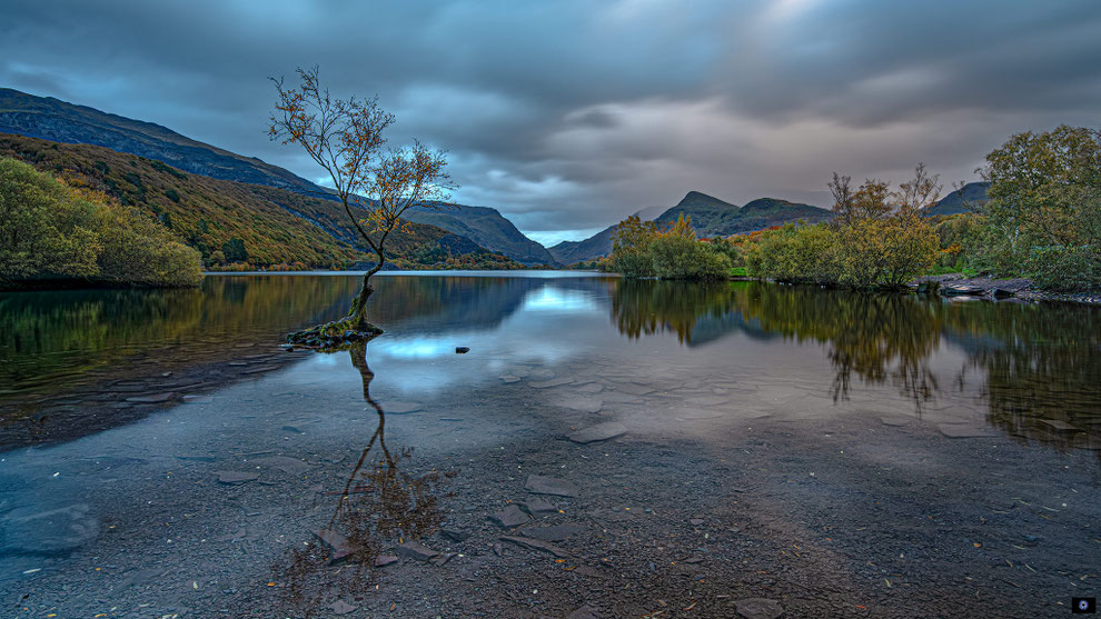 England | Llanberis | the Lone Tree |  North Wales | Okt. 25