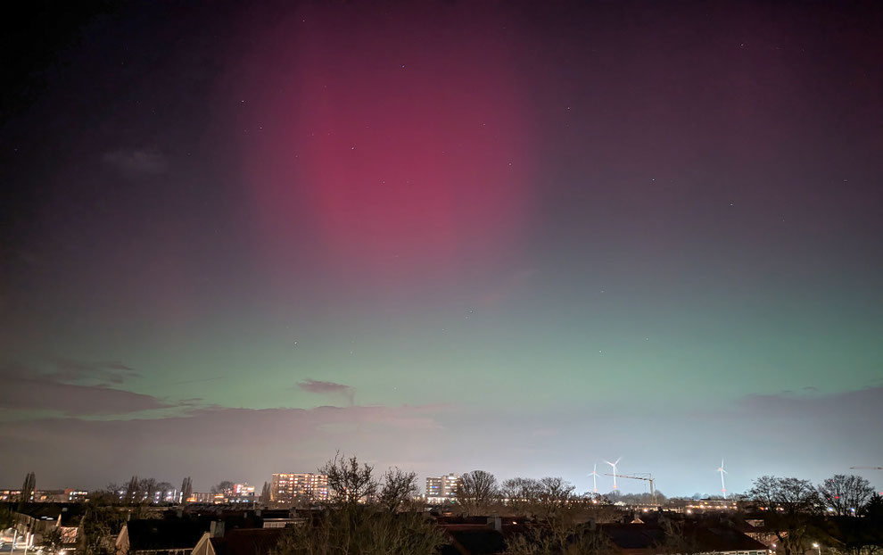 Noord-Brabant | Den Bosch | NOORDERLICHT |         19-01-26