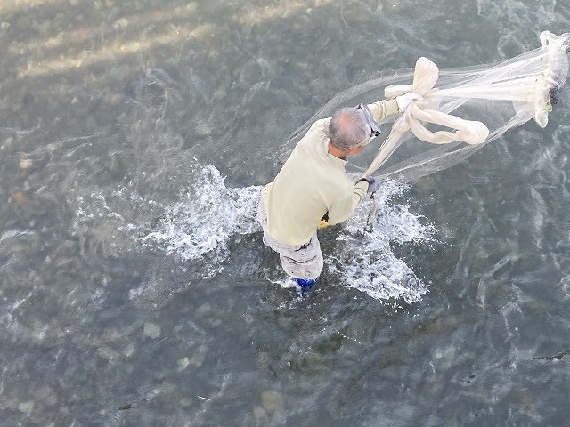 ホーム 金目川水系流域ネットワーク ホーム 神奈川県平塚市北金目 秦野市 伊勢原市 アユ 鮎 あゆ 魚 鳥 環境 自然 大山 投網 ホーム 金目川水系流域ネットワーク ホーム 神奈川県平塚市北金目 秦野市 伊勢原市 アユ 鮎 あゆ 魚 鳥 環境 自然 大山 投網
