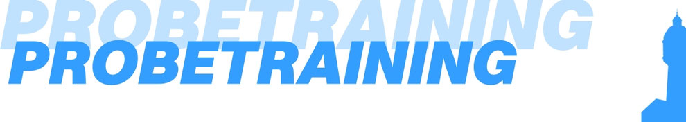 TSV Neu-Ulm - Herren 1 - Probetraining