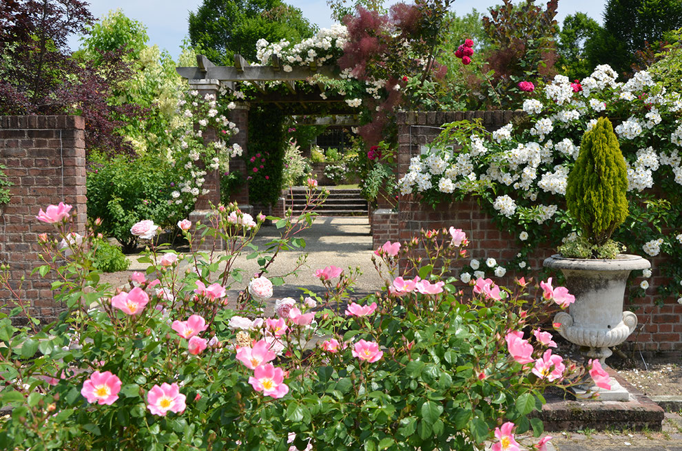 バラの聖地 花フェスタ記念公園 The Garden Gifu Rose Project