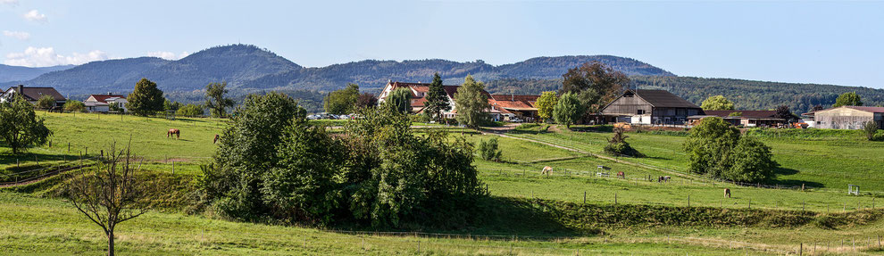 Der idylische Winkler Hof in Gaggenau Winkel