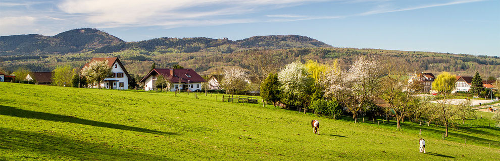                                                                                                                                                               Foto Otmar Schmittt