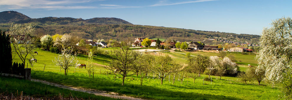 Blick auf den Winklerhof                                                                                                                                                               Foto Otmar Schmitt