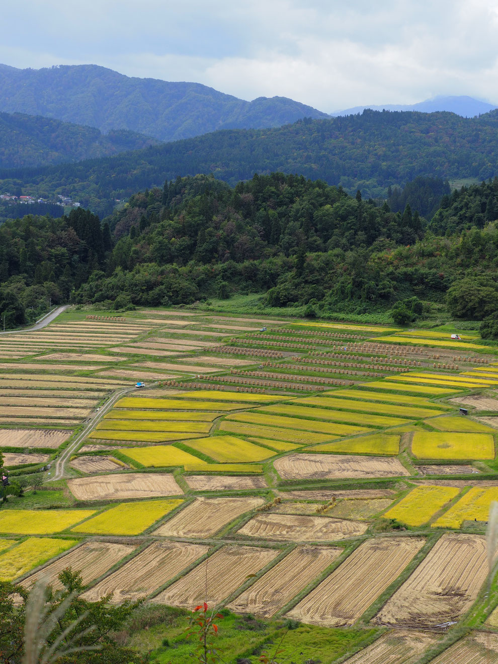 写真:椹平(くぬぎたいら)の棚田@山形県朝日町【日本の棚田百選】