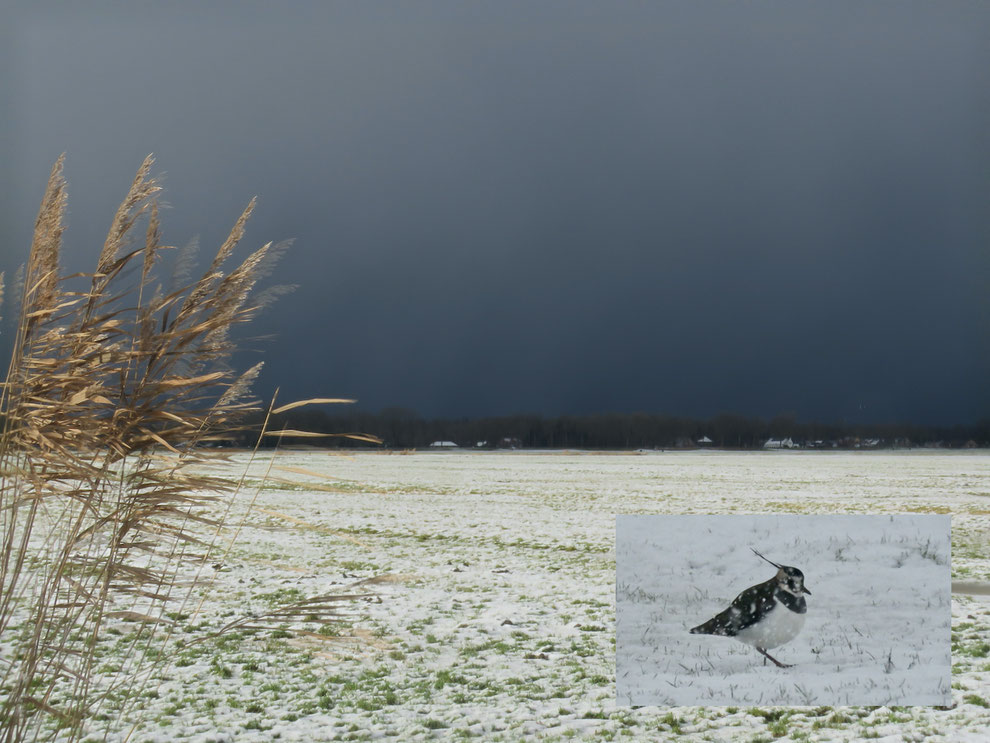 Eempolder, januari 2026